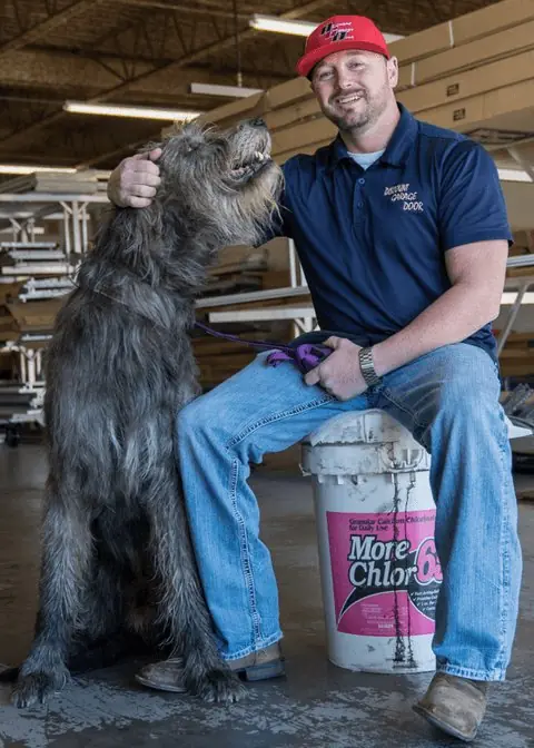 Learn about Jasper the Irish Wolfhound